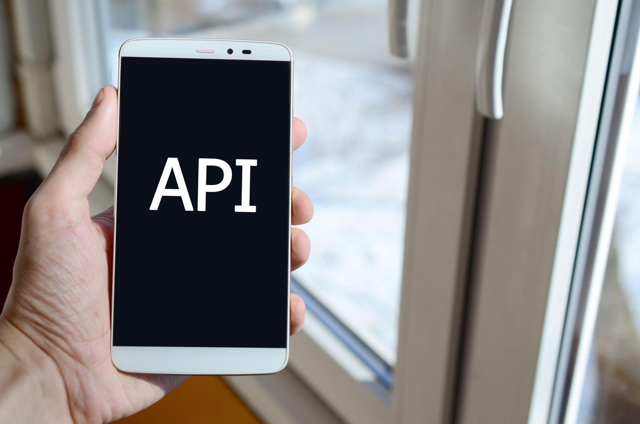 API definition and usage